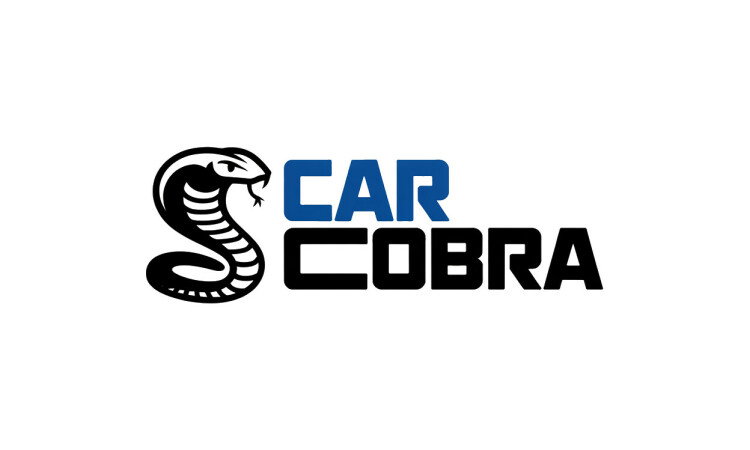 Available Business Name For Sale - CarCobra