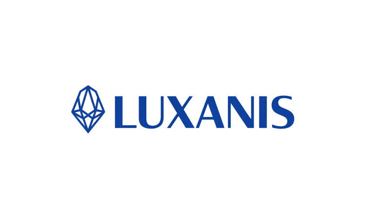 Available Business Name For Sale - Luxanis